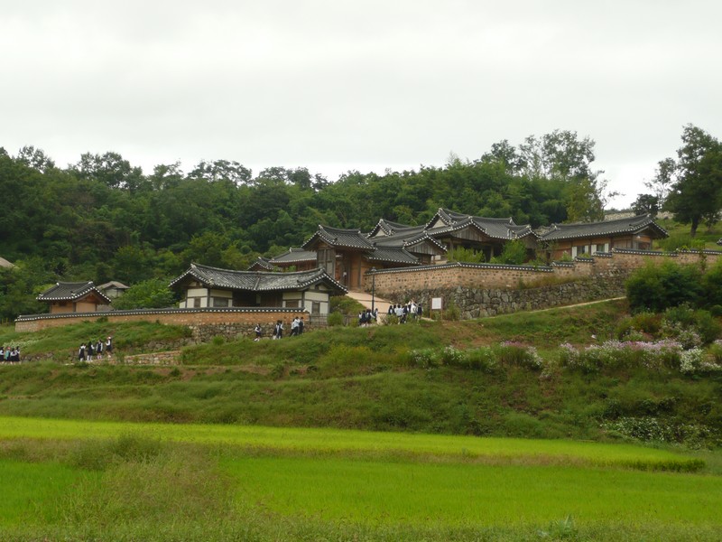 P1020003.jpg