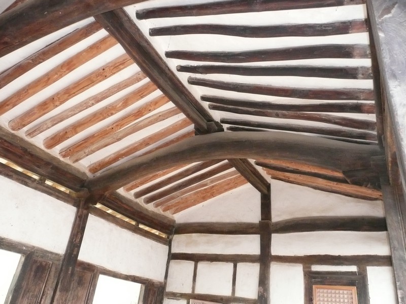 P1020044.jpg