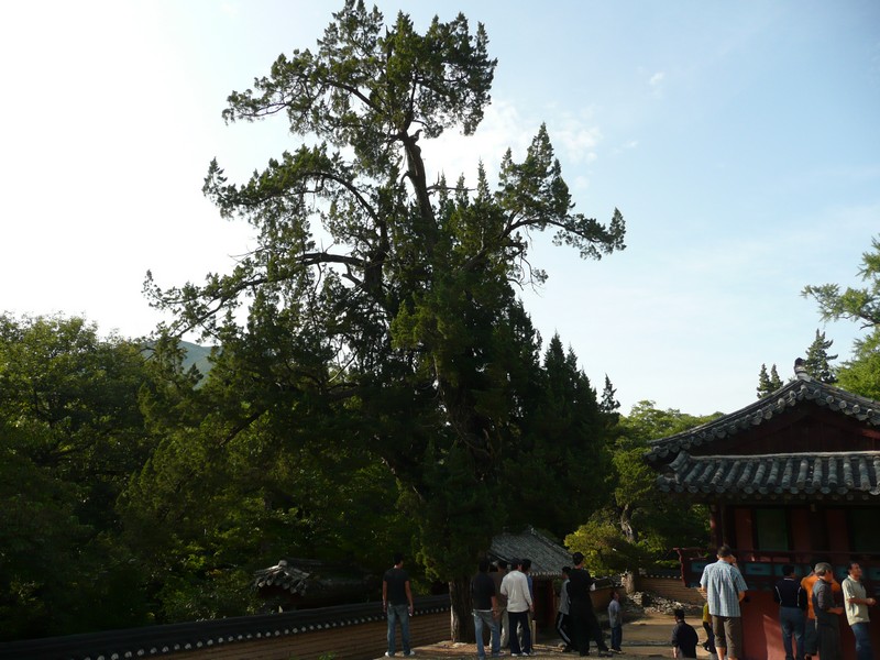 P1020130.jpg