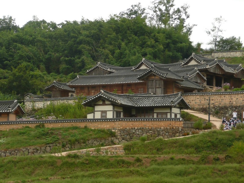 P1020009.jpg