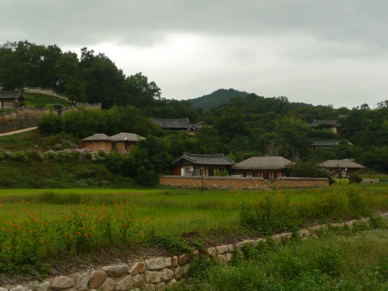 P1020010.jpg