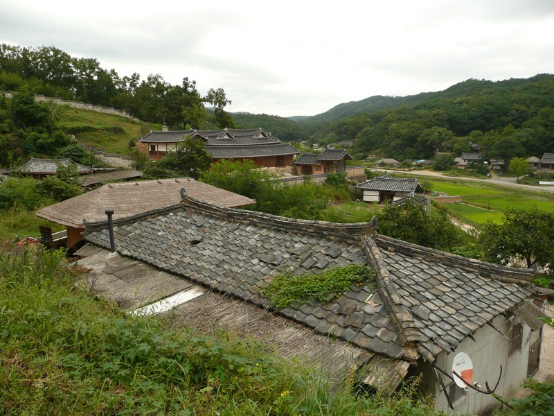 P1020049.jpg