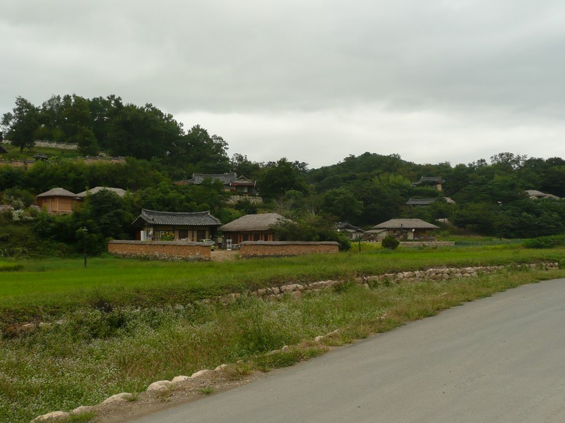 P1020006.jpg