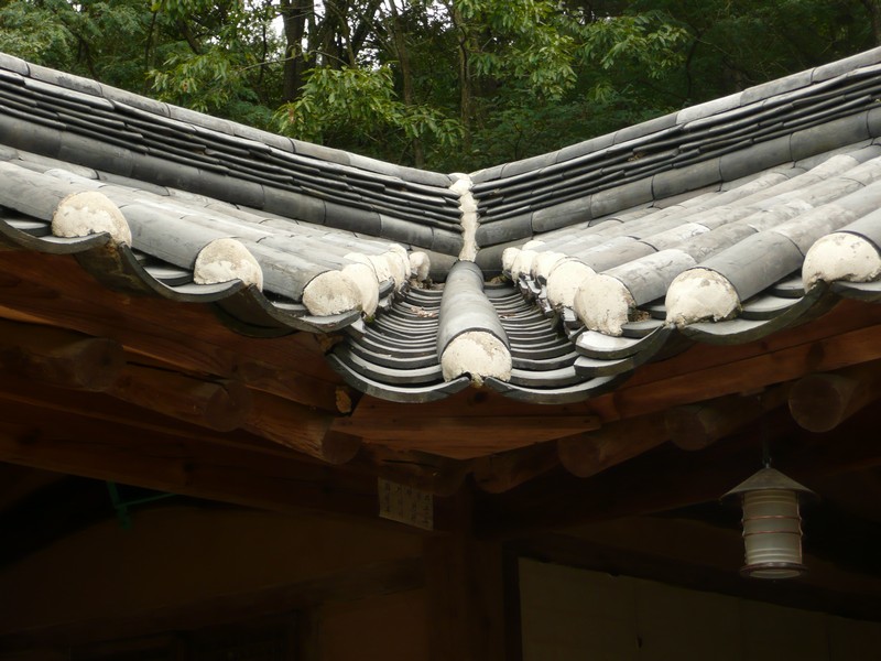 P1020116.jpg