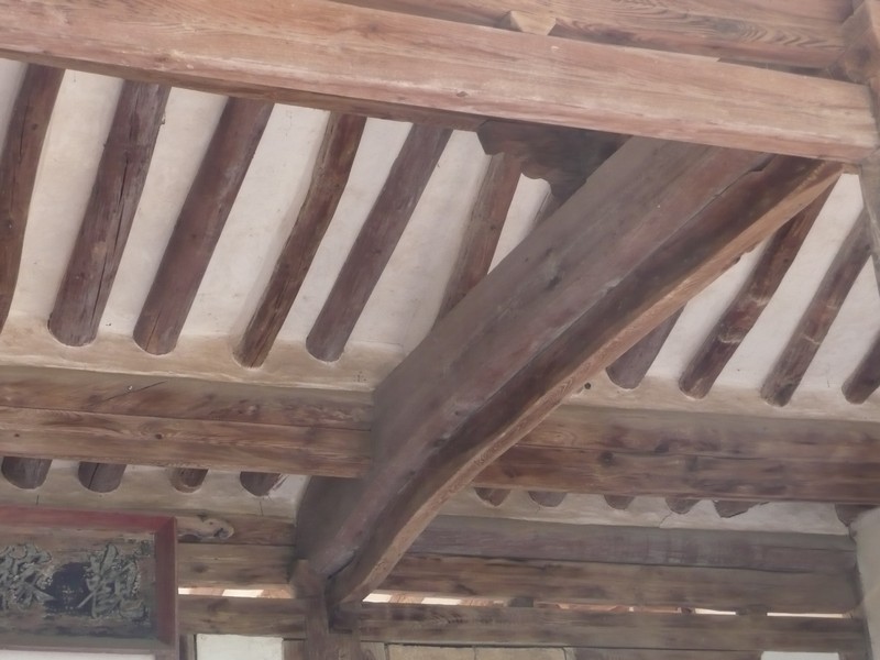 P1020040.jpg