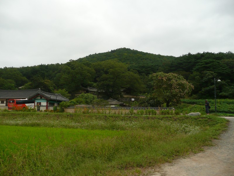 P1020013.jpg