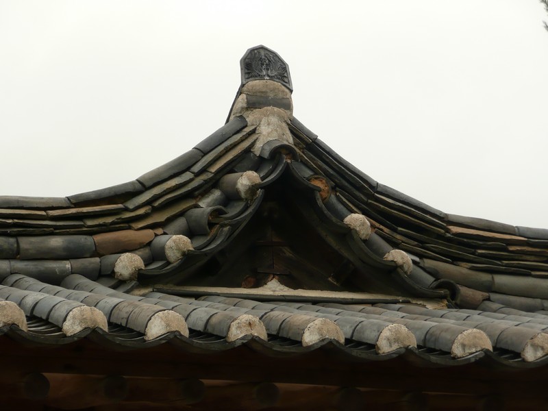 P1020051.jpg