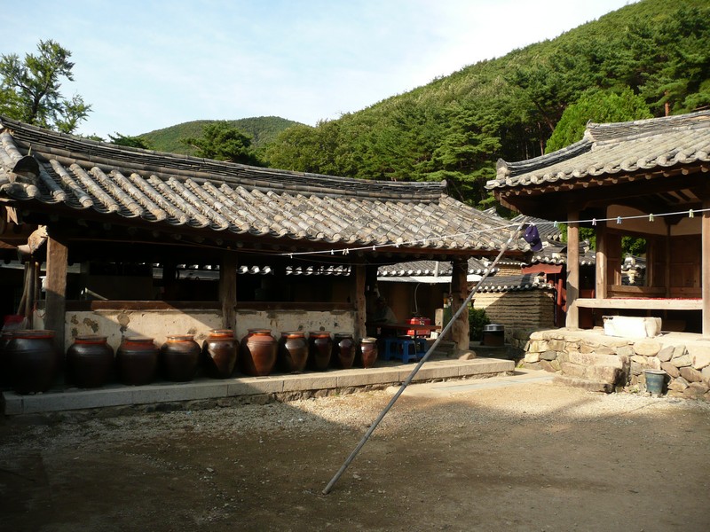 P1020146.jpg