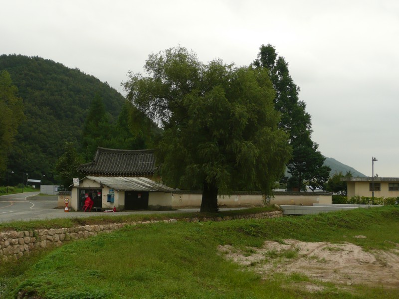 P1020011.jpg