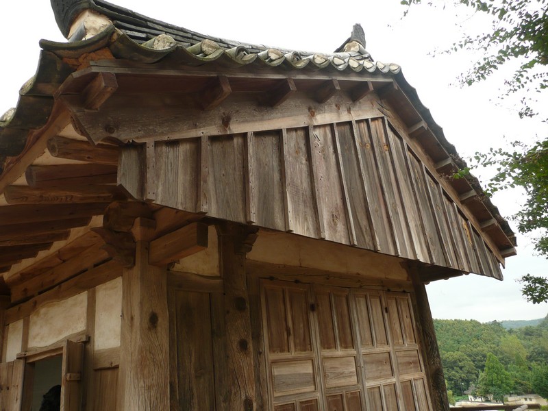 P1020037.jpg