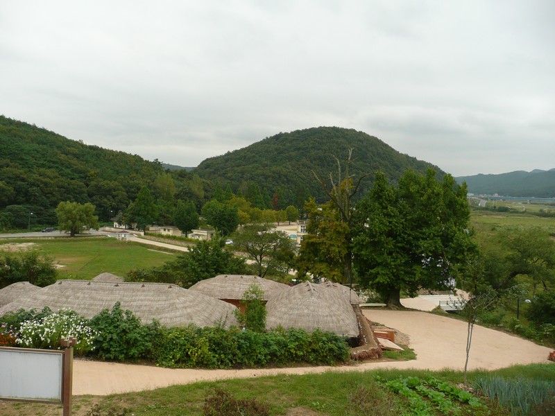 P1020030.jpg
