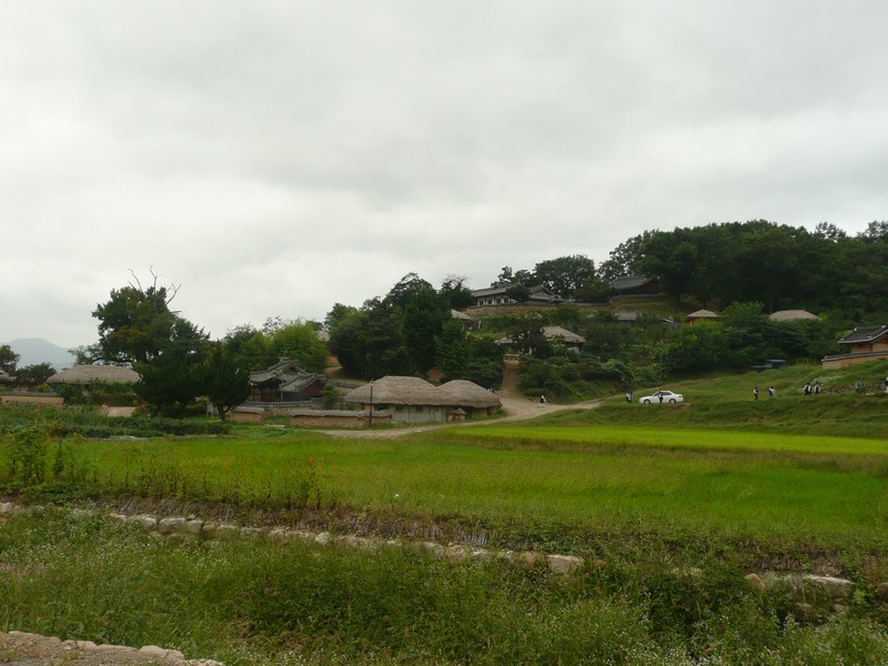 P1020004.jpg