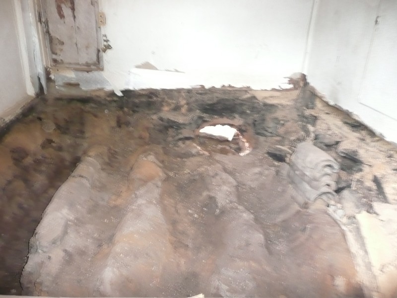 P1020121.jpg