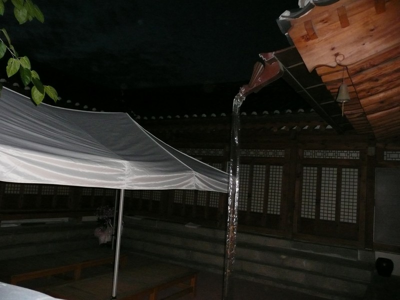 P1020170.jpg