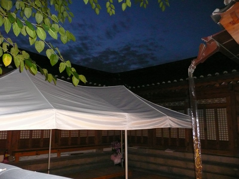 P1020172.jpg