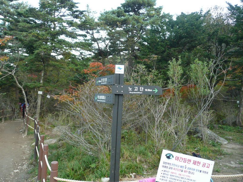 P1020333.jpg