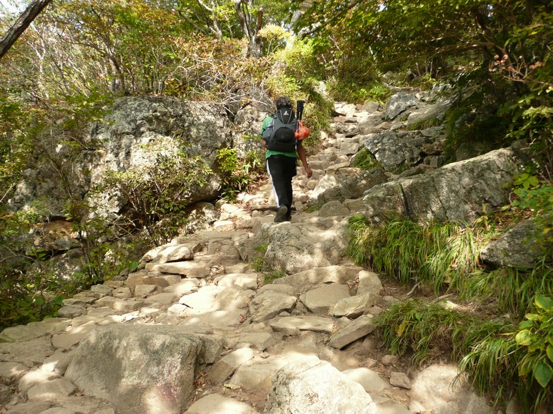 P1020285.jpg