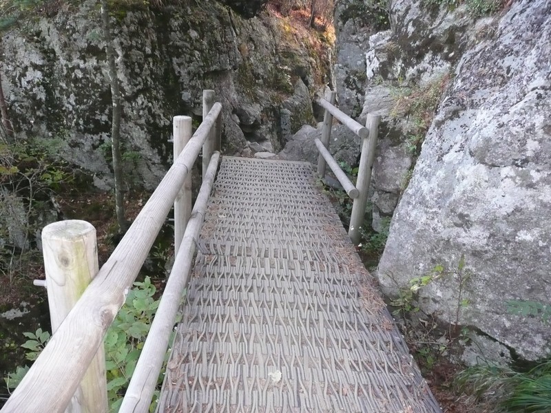 P1020335.jpg