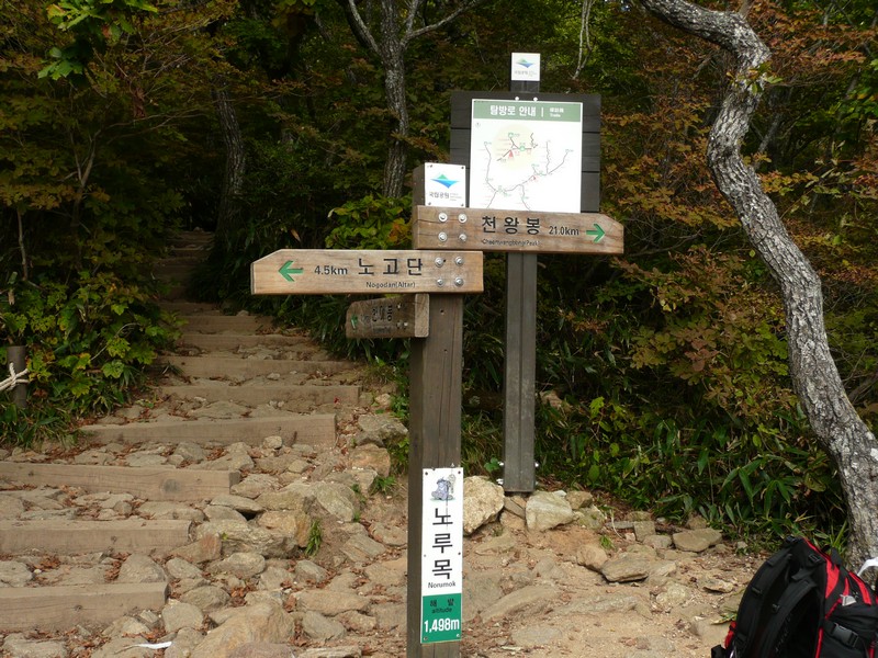 P1020286.jpg