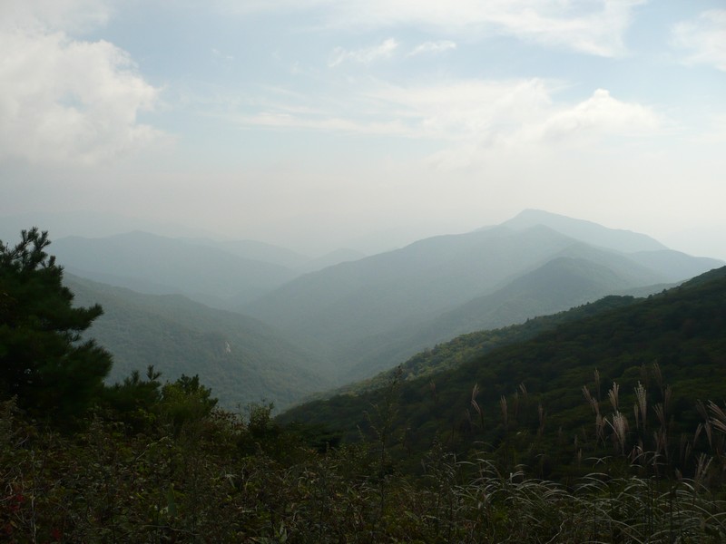 P1020274.jpg