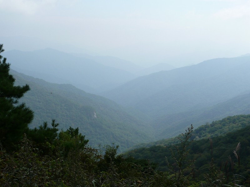 P1020276.jpg