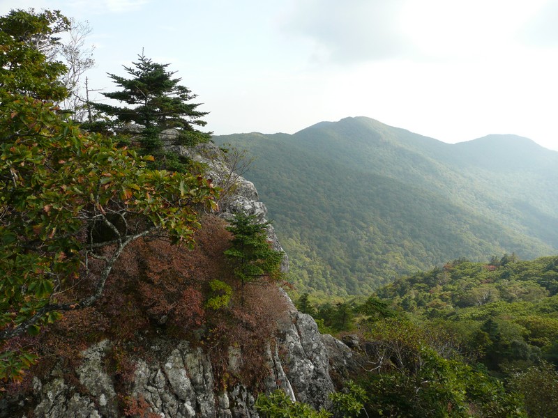 P1020291.jpg