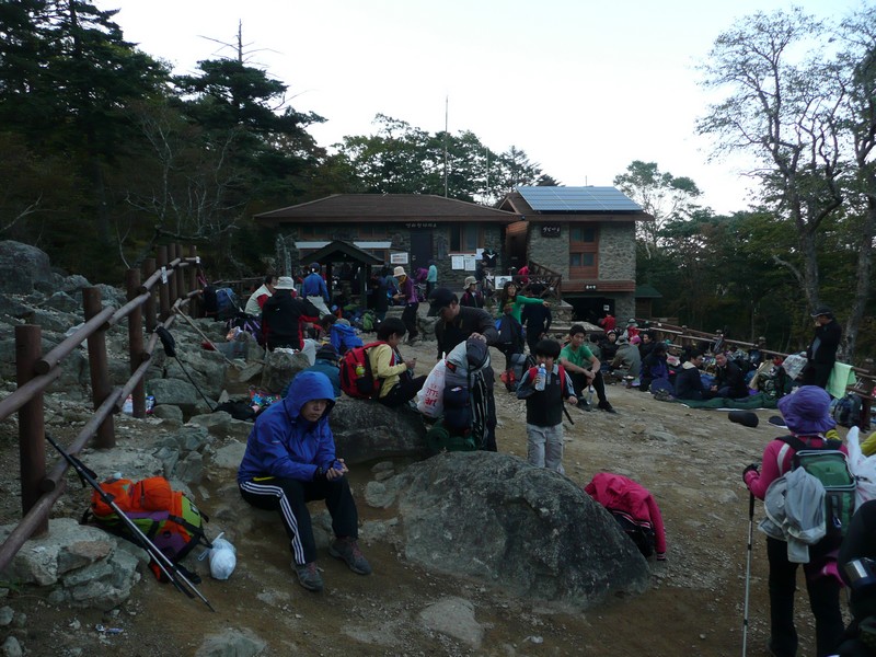 P1020326.jpg