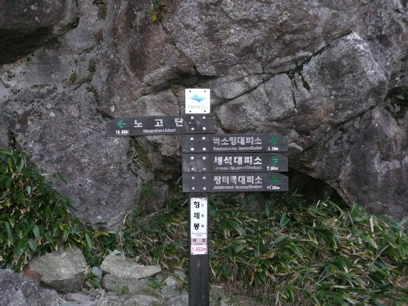 P1020352.jpg