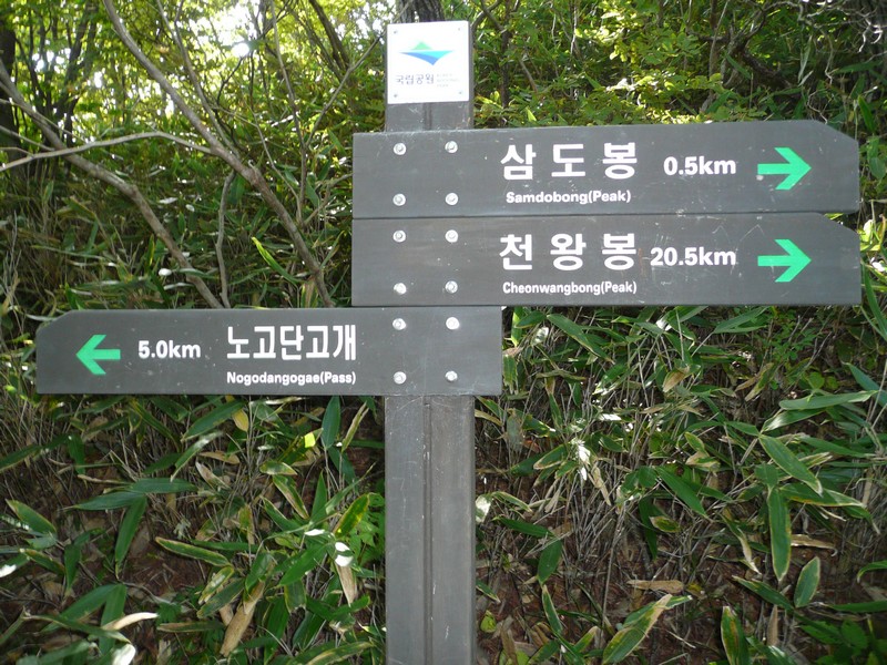 P1020300.jpg
