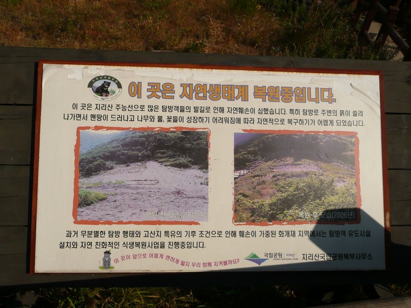 P1020317.jpg