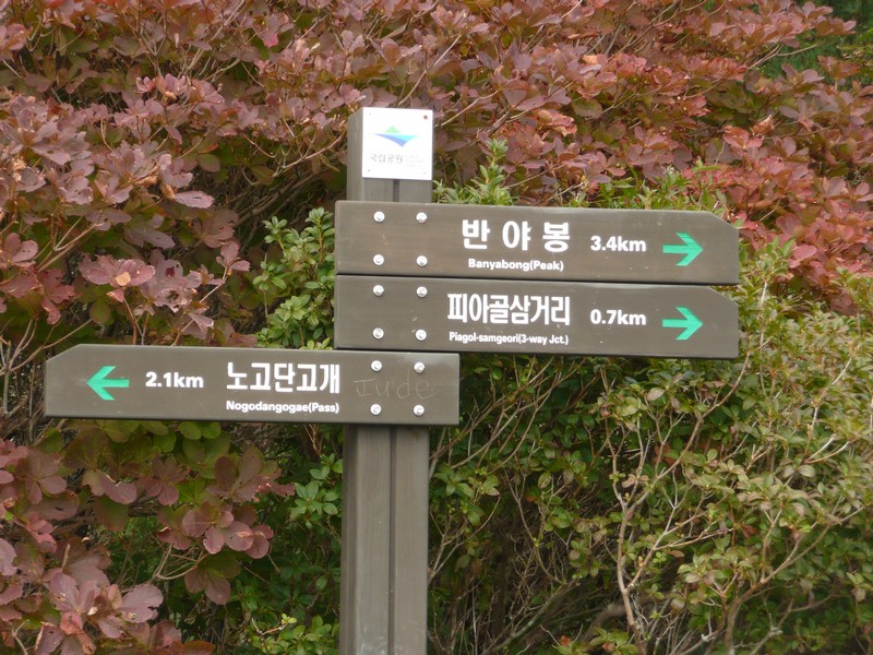 P1020272.jpg