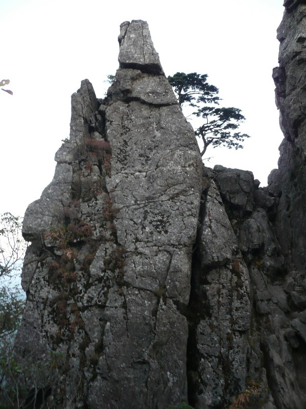 P1020348.jpg