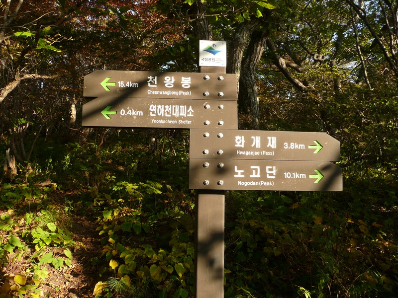 P1020324.jpg