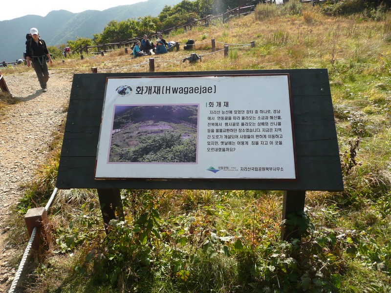 P1020319.jpg