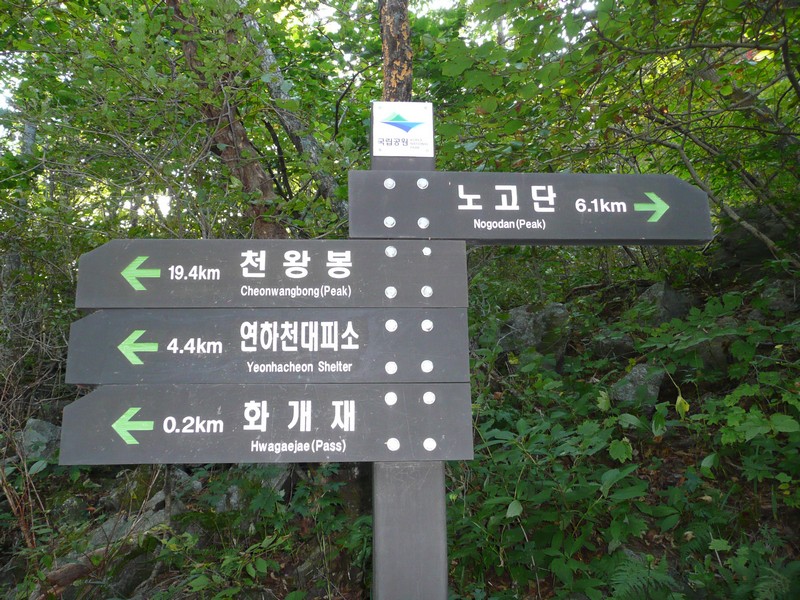 P1020315.jpg
