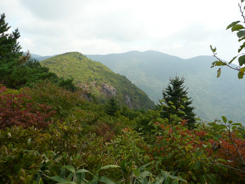 P1020271.jpg