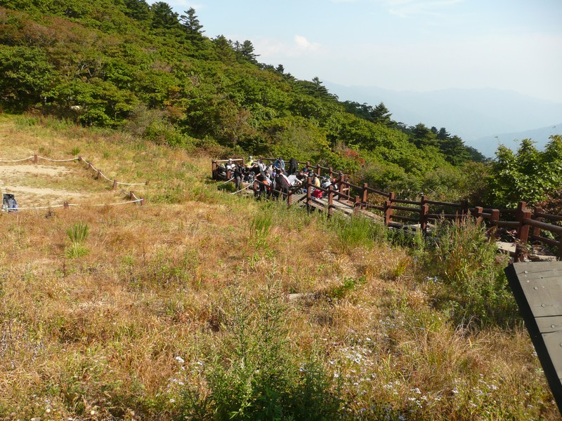 P1020316.jpg