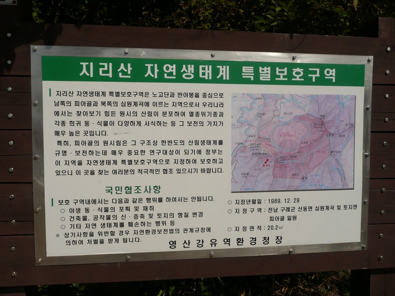 P1020220.jpg