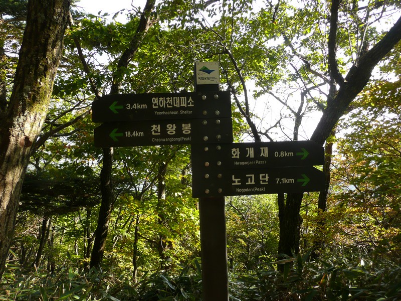P1020321.jpg