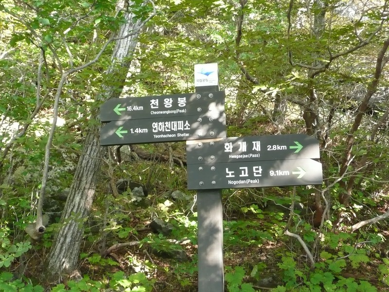 P1020323.jpg