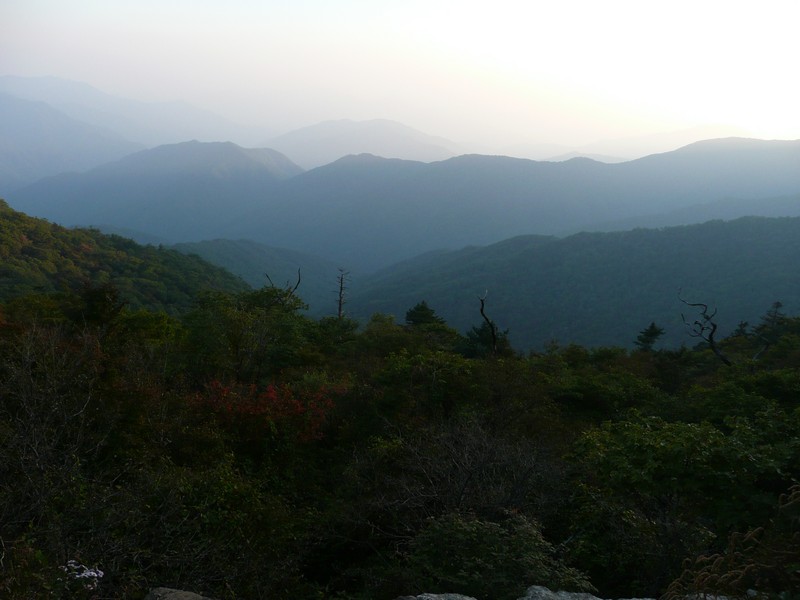 P1020338.jpg