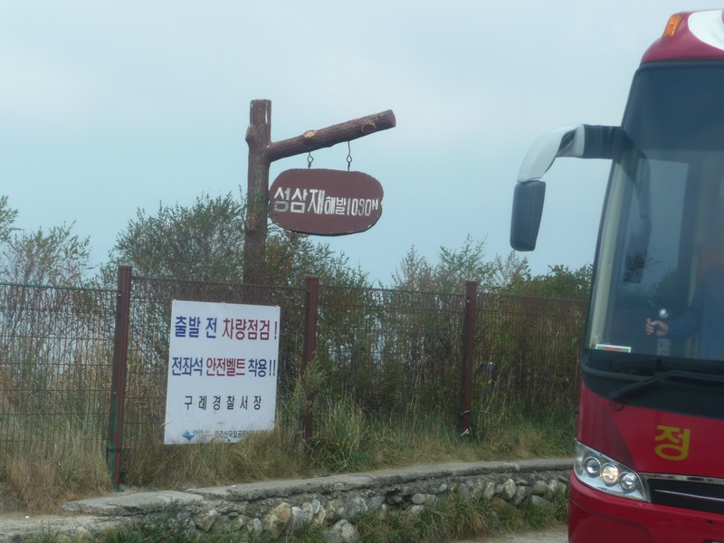 P1020213.jpg