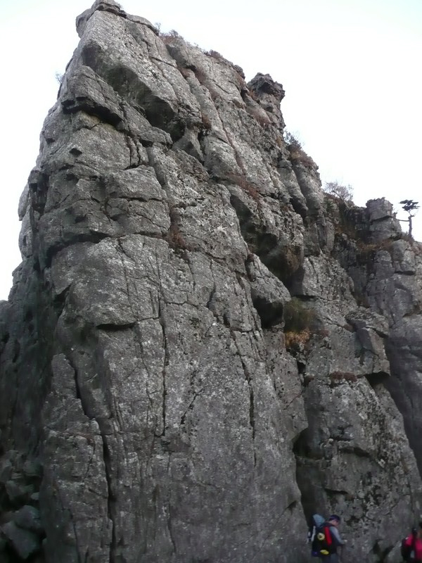 P1020346.jpg