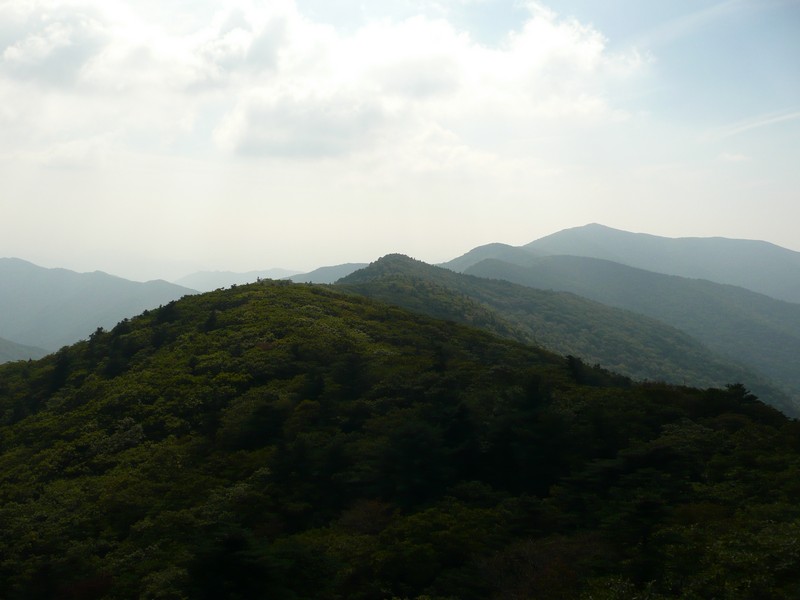 P1020289.jpg