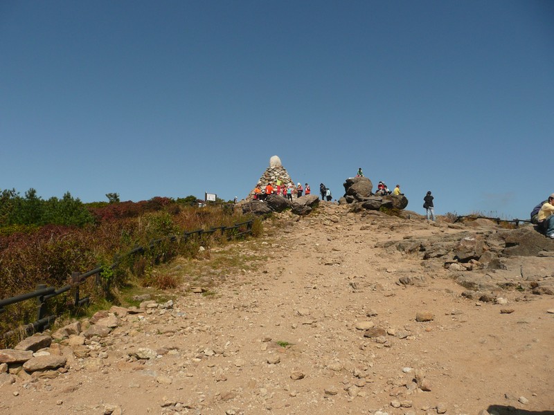 P1020229.jpg