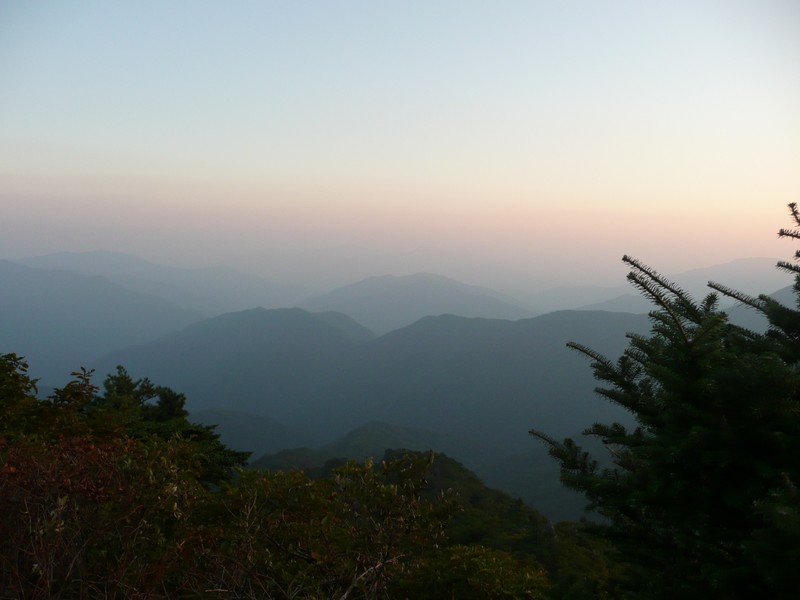 P1020343.jpg