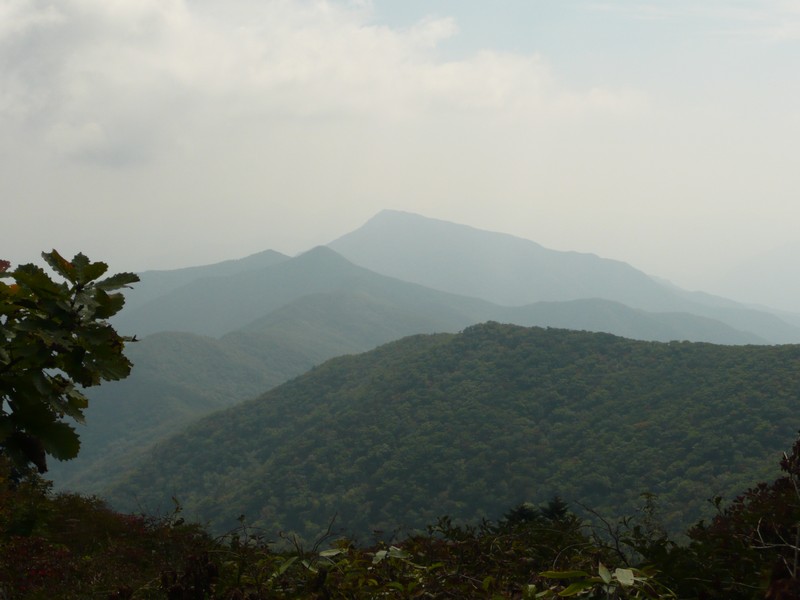 P1020255.jpg