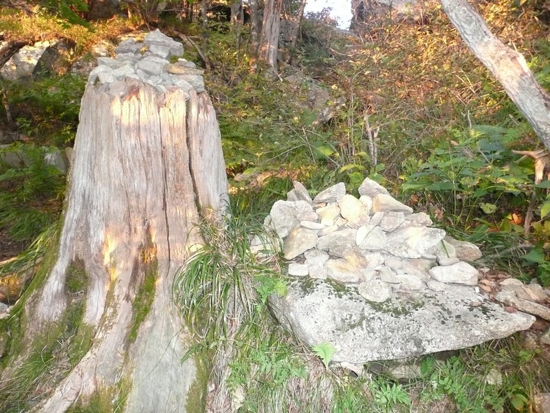 P1020342.jpg