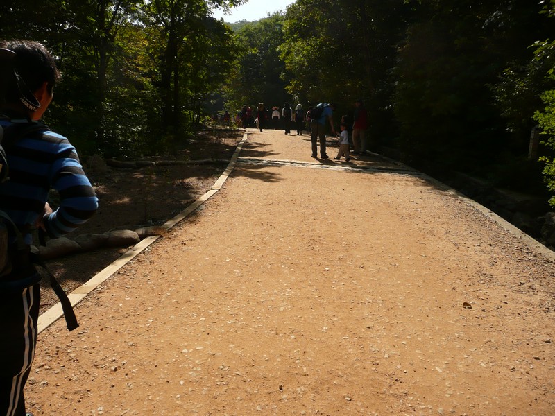 P1020217.jpg