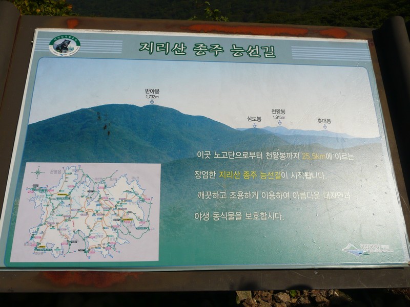 P1020233.jpg